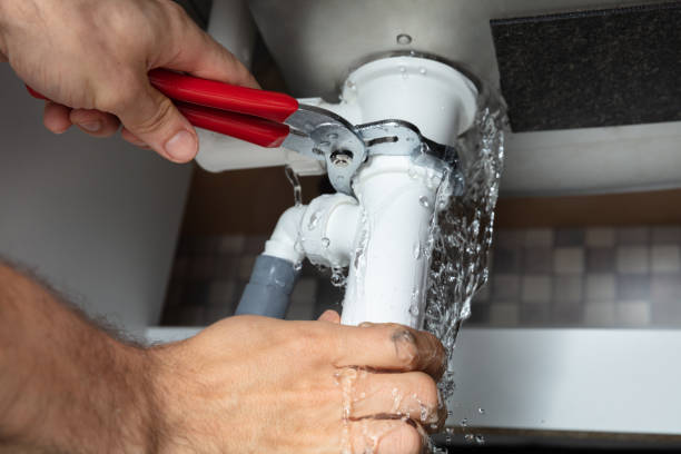 Best Flooded house restoration  in Bellevle, IL