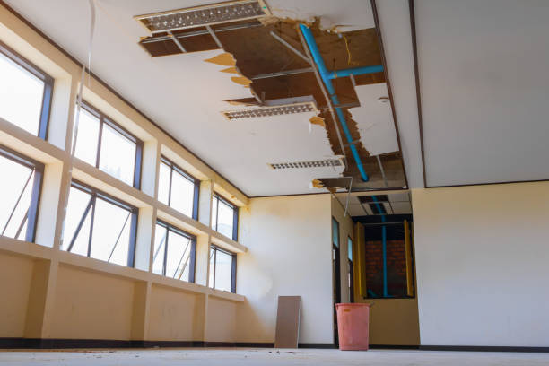 Best Professional water damage repair  in Bellevle, IL