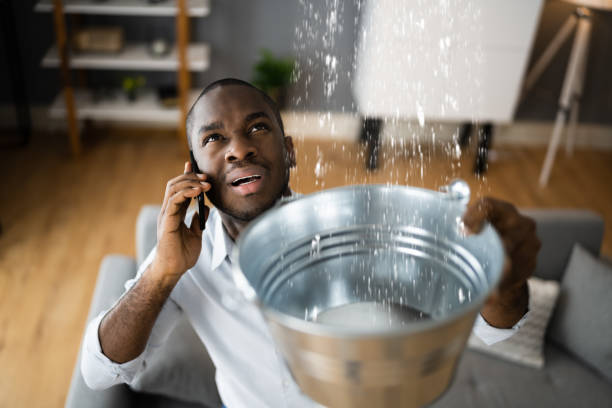 Best 24/7 water damage repair  in Bellevle, IL