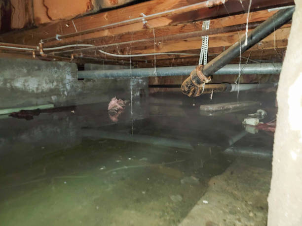 Local water damage restoration in IL