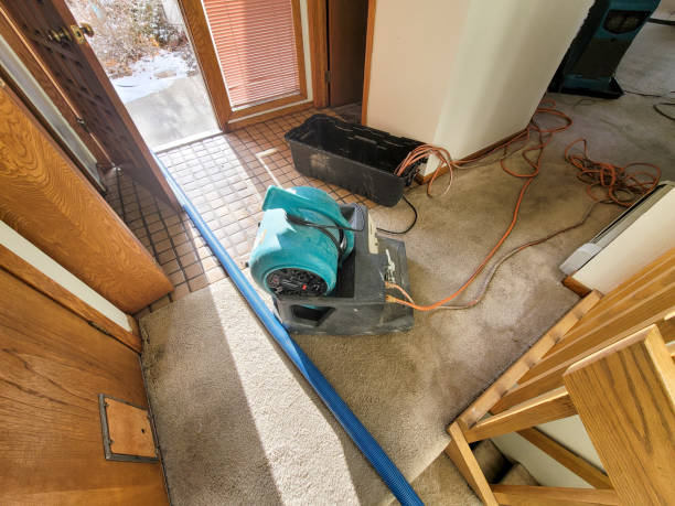 Best Sewage cleanup and water damage restoration  in Bellevle, IL