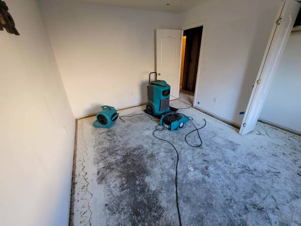 Best Fire Damage Restoration  in Bellevle, IL