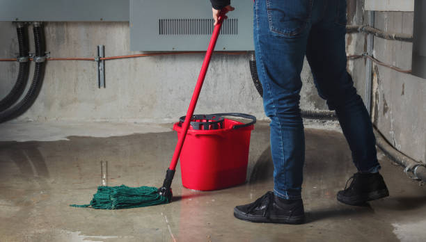 Best Local water damage restoration  in Bellevle, IL