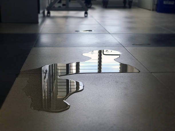 Best Carpet water damage restoration  in Bellevle, IL