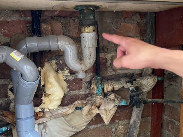 Best Water damage contractors near me  in Bellevle, IL