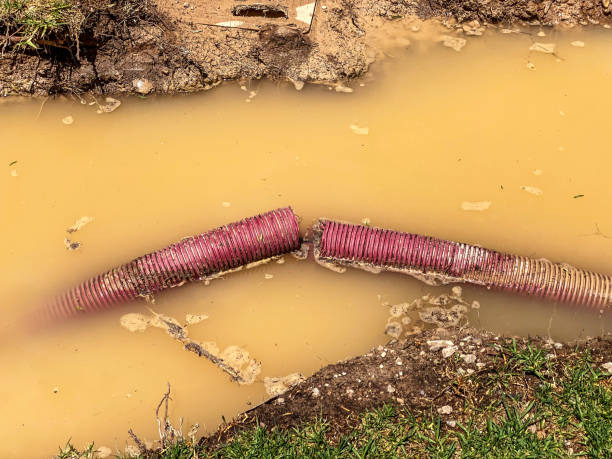 Best Sewage cleanup and water damage restoration  in Bellevle, IL